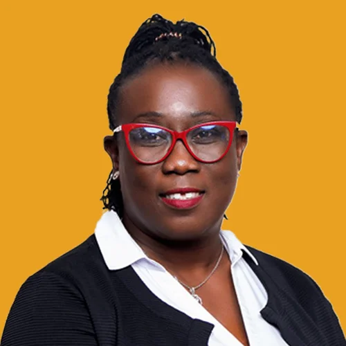 EXECUTIVE DIRECTOR OF THE GHANA DATA PROTECTION COMMISSION